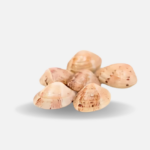 almeja amarilla