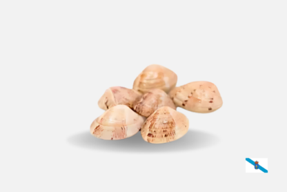 almeja amarilla